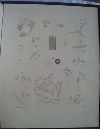Observationes Anatomicae et Microscopicae de Systematis Nervosi Structura.