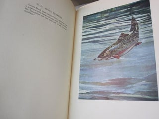 Fish by Schaldach; Collected Etchings Drawings and Water Colors of Trout Salmon and Other Game Fish