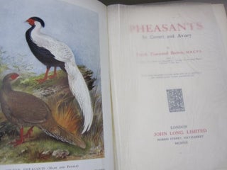 Pheasants in Covert & Aviary.