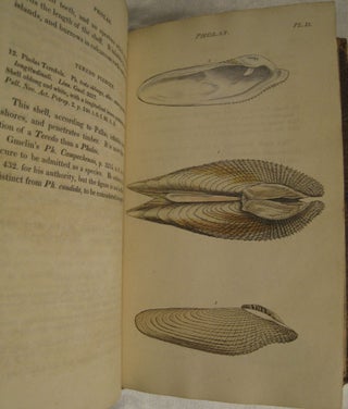 Item #50 General Conchology; or a Description of Shells; Arranged according to the Linnean System...
