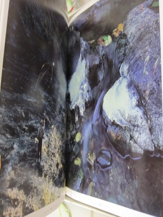 Dan Callaghan's North Umpqua.