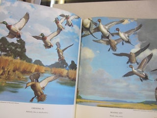 The Ways of Wildfowl; Featuring the Distinguished Painting and Etchings of Richard Bishop