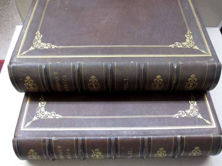 Item #53088 Picturesque America TWO VOLUME SET; or The Land we Live In. A Delineation by Pen and Pencil of the Mountains, Rivers, Forests, Water-Falls, Shores, Canons, Valleys, Cities, and Other Picturesque Features of our Country. William Cullen Bryant.