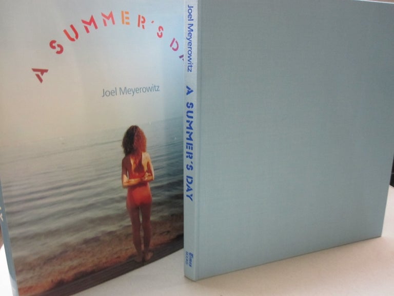 Item #54118 A Summer's Day. Joel Meyerowitz.