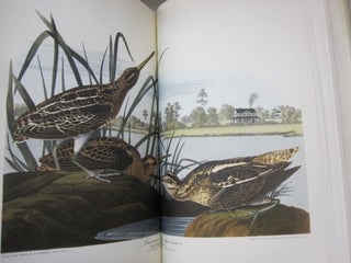 Audubon's America The Narratives and Experiences of John James Audubon.