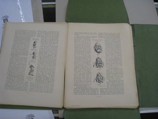 1848 in der Caricatur [Portfolio].
