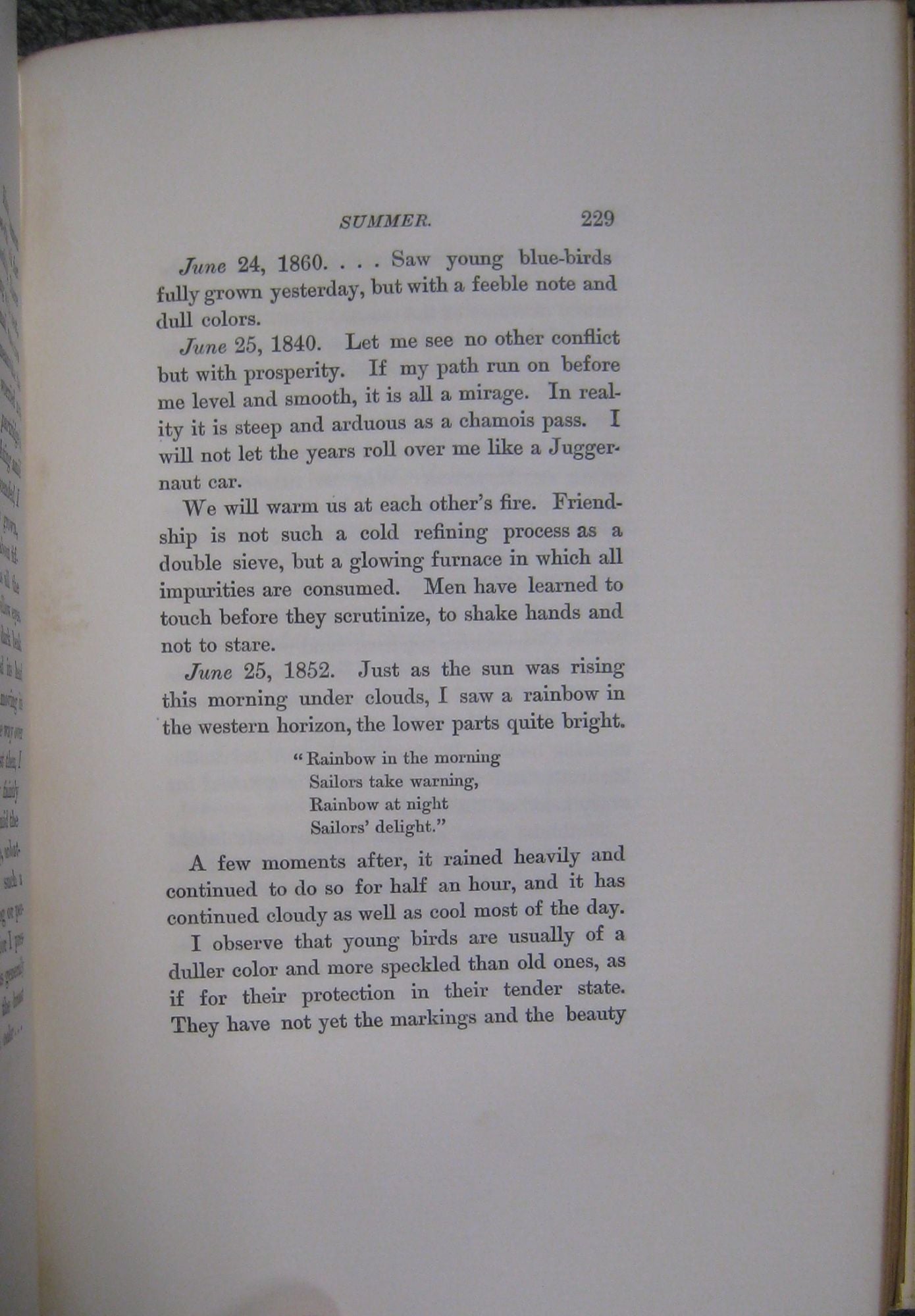 ä Large Paper Edition 11 volume complete set With Bibliographical  Introductions and Full Indexes, Henry David Thoreau, H. G. O. Blake, F.