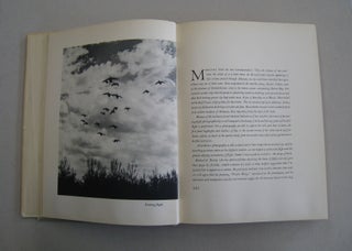 Prairie Wings; Pen and Camera Flight Studies