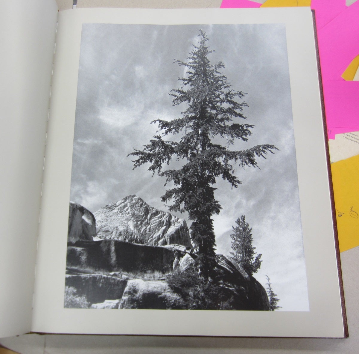 Ansel Adams: Landscapes of the American West by Lauris Morgan-Griffiths on  Midway Book Store