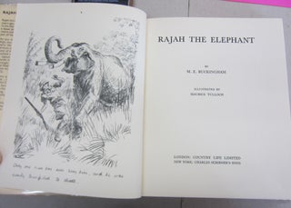 Rajah the Elephant.