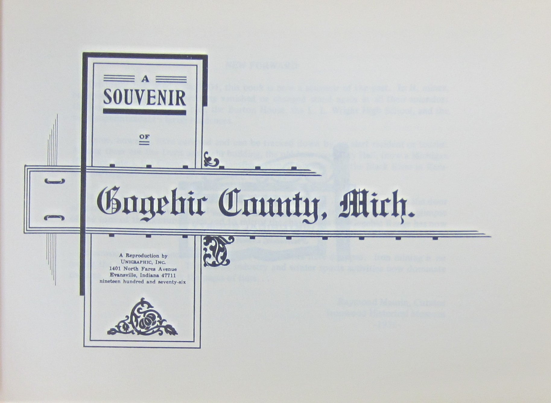 A Souvenir Of Gogebic County Michigan The Great Gogebic Range Revisited 3809