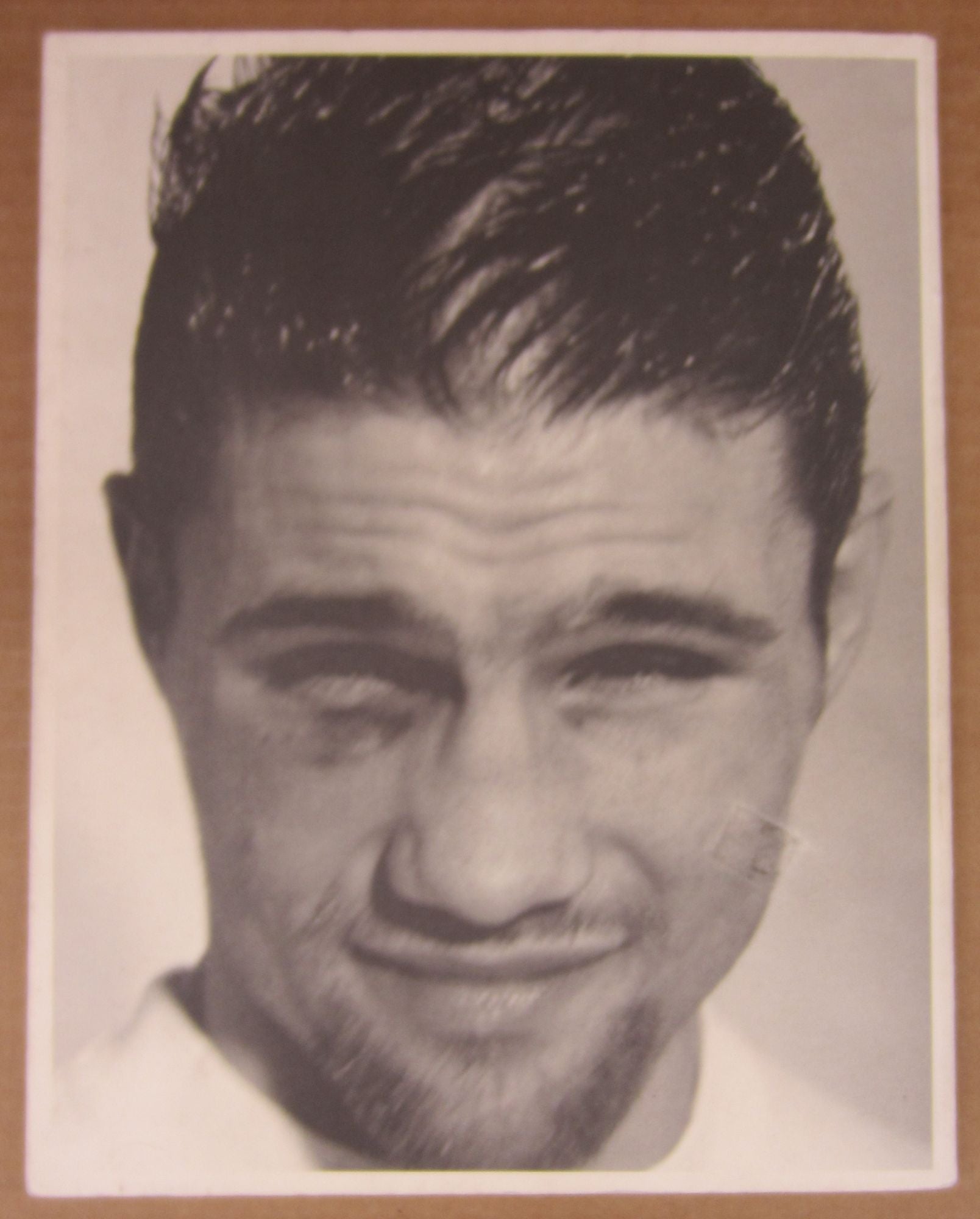 THE ANDY BOOK | Bruce WEBER