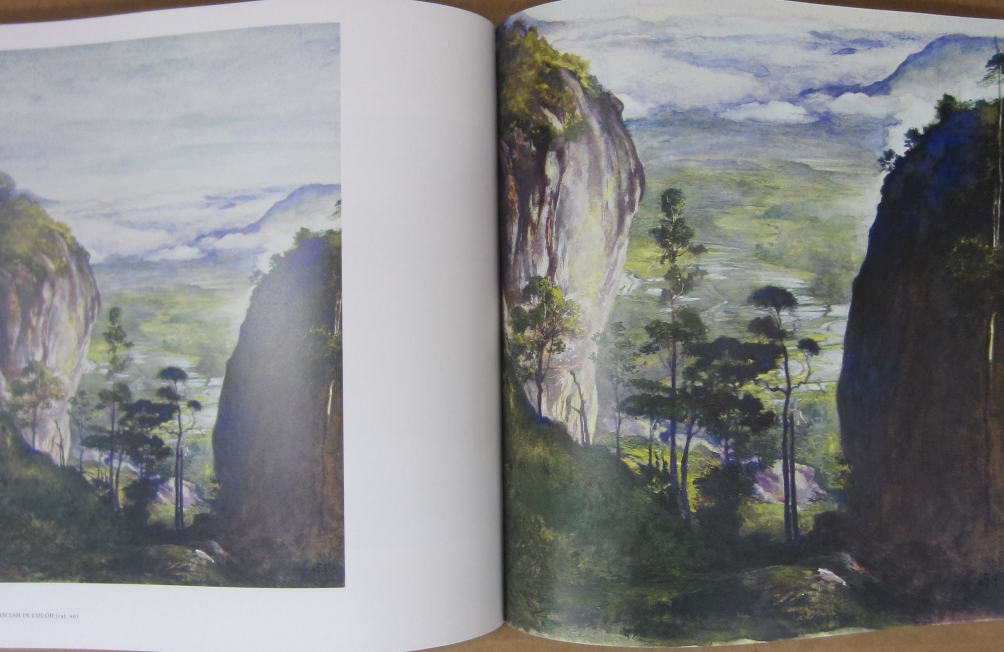 Awash in Color; Homer, Sargent, and the Great American Watercolor | Sue ...