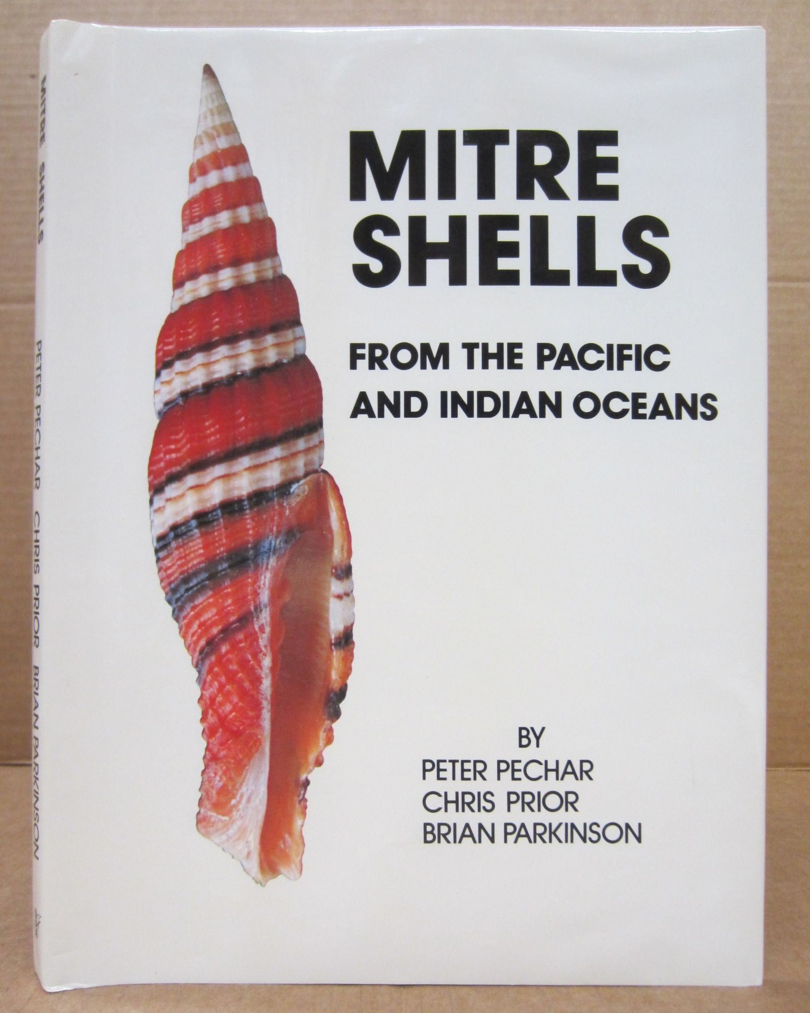 Mitre Shells From the Facific and Indian Oceans | Chris Prior Peter ...
