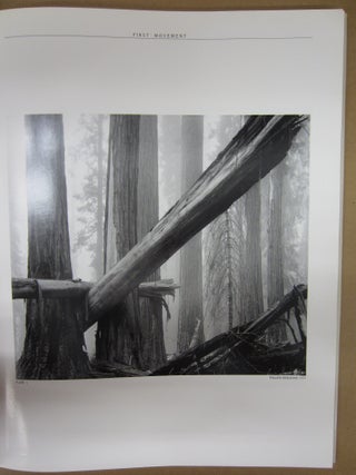 Visual Symphony: A Photographic Work in Four Movements
