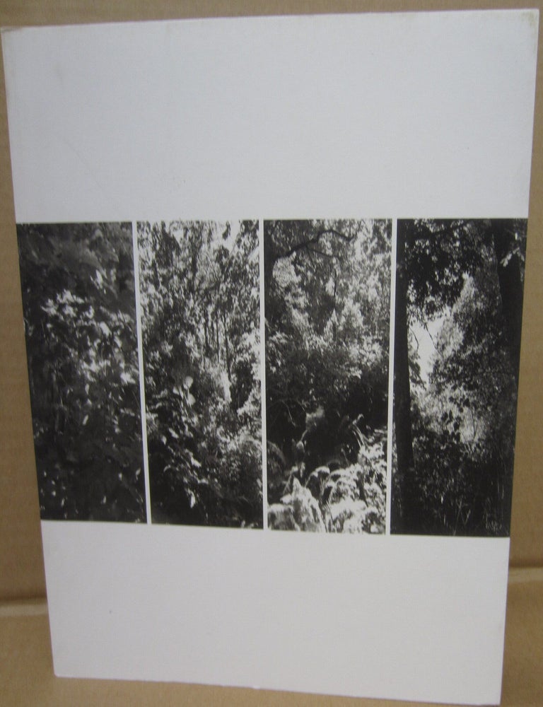 Item #91264 Light Balances. Robert Adams.
